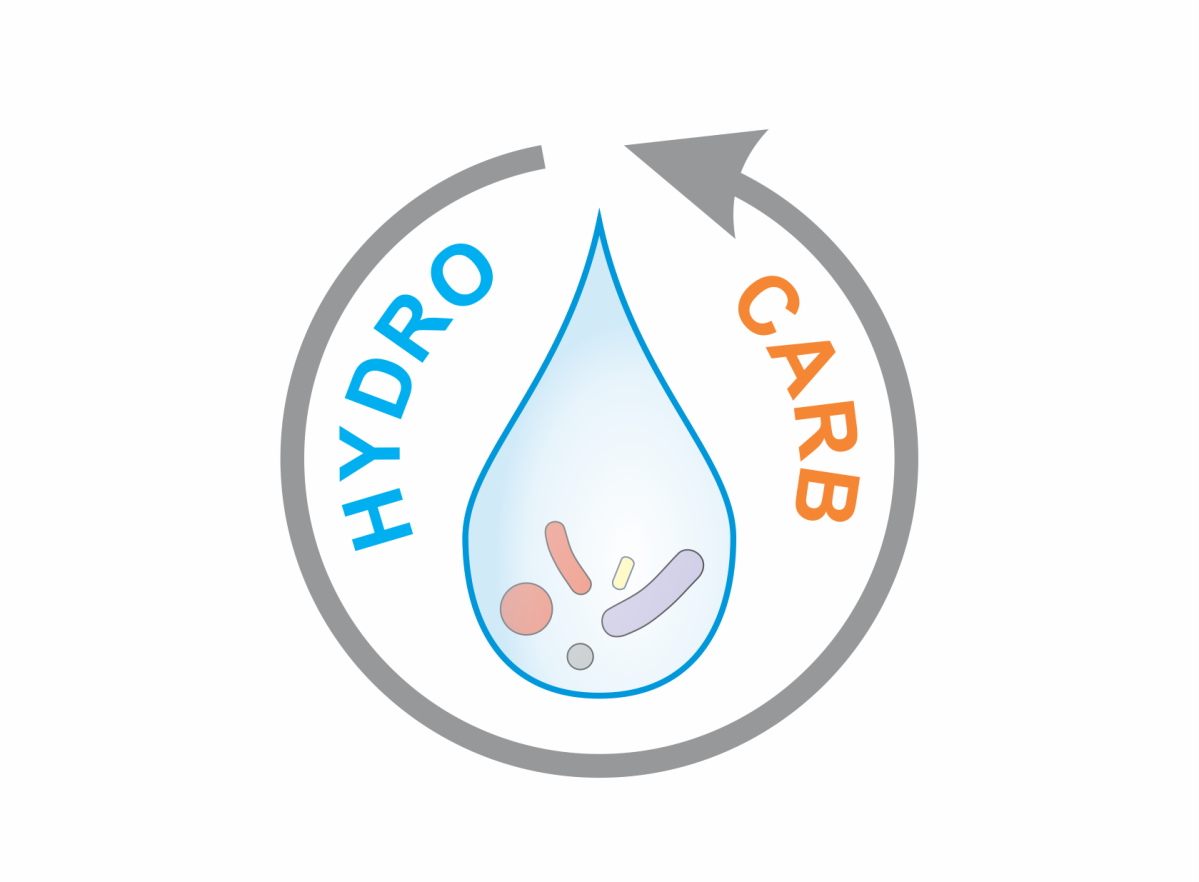 Launch of the HYDROCARB project