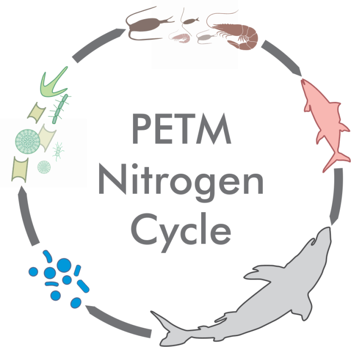 A logo for a research project on the PETM nitrogen cycle, showing a schematic trophic food chain in a circle